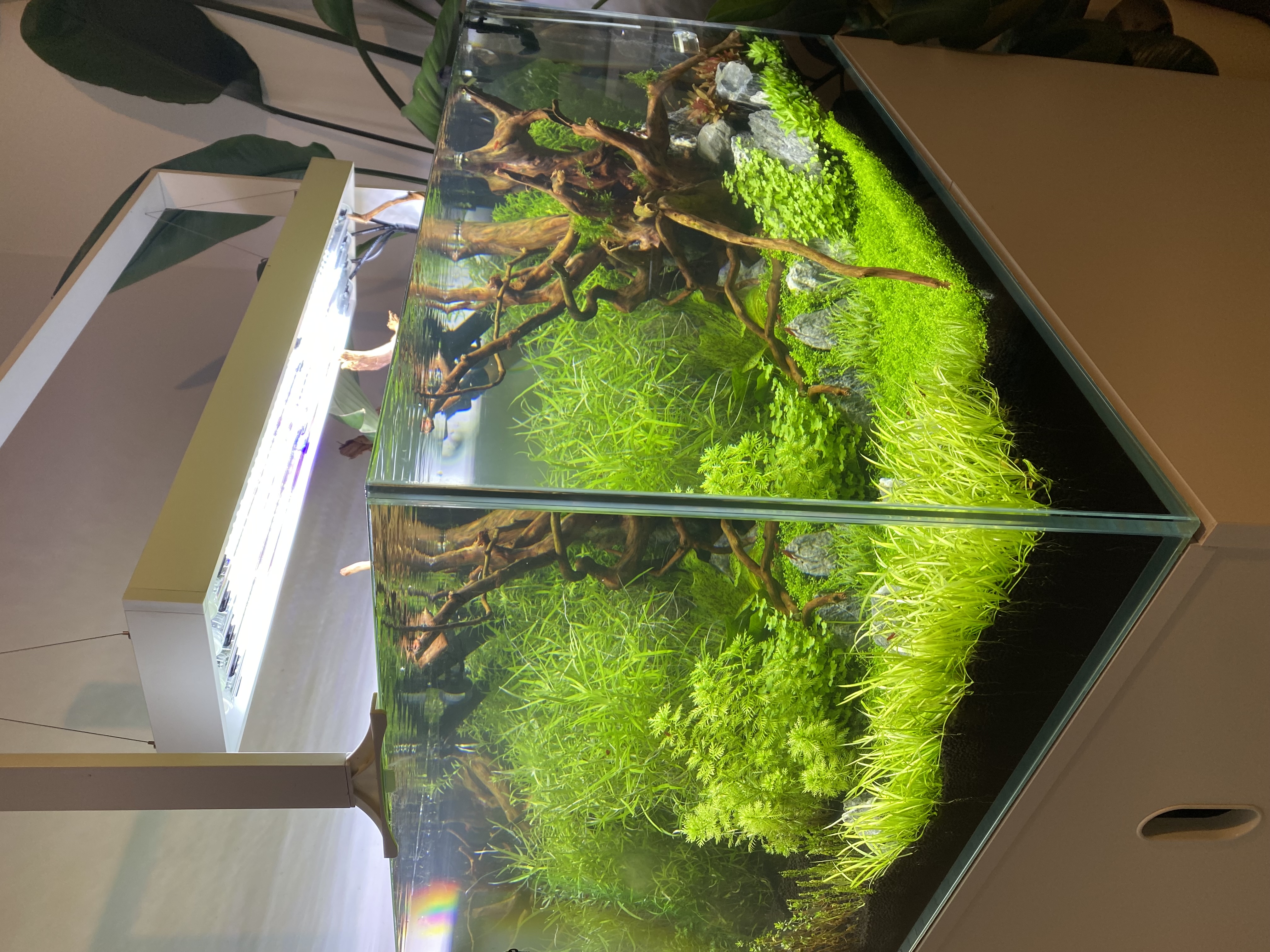 Aquarium Design